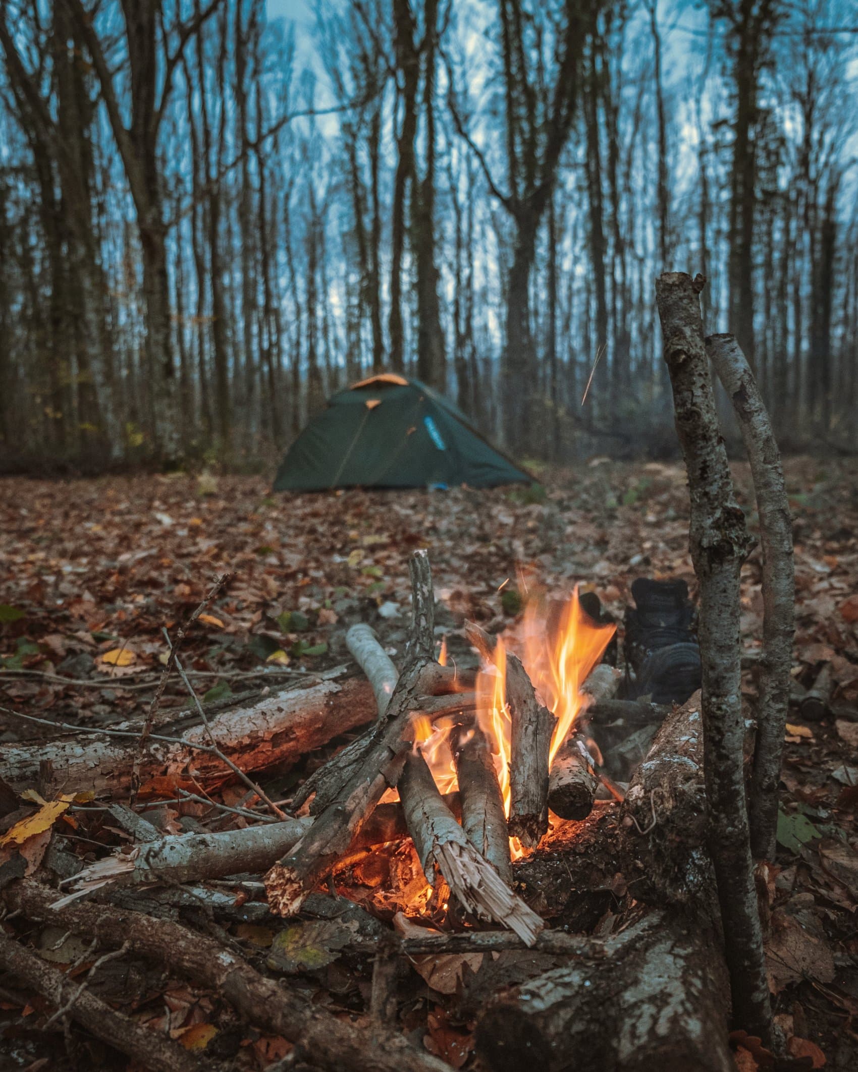 A small campfire burning on leaf litter at dusk, with a dome tent pitched among bare trees behind it.